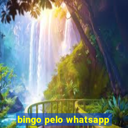 bingo pelo whatsapp